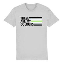 Load image into Gallery viewer, Agender Flag T Shirt | Rainbow &amp; Co