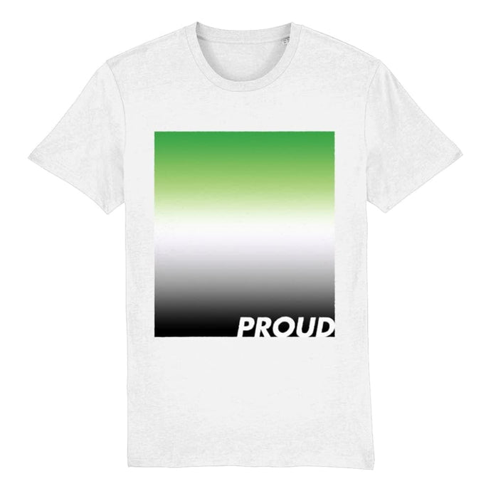Aromantic Pride T Shirt | Aromantic Flag Shirt | Rainbow & Co