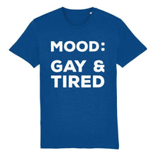 Load image into Gallery viewer, Mood Gay &amp; Tired Shirt | Rainbow &amp; Co