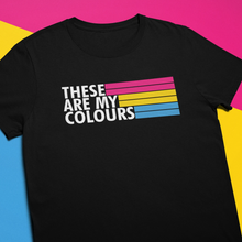 Load image into Gallery viewer, Pansexual Pride Flag Shirt | Rainbow &amp; Co