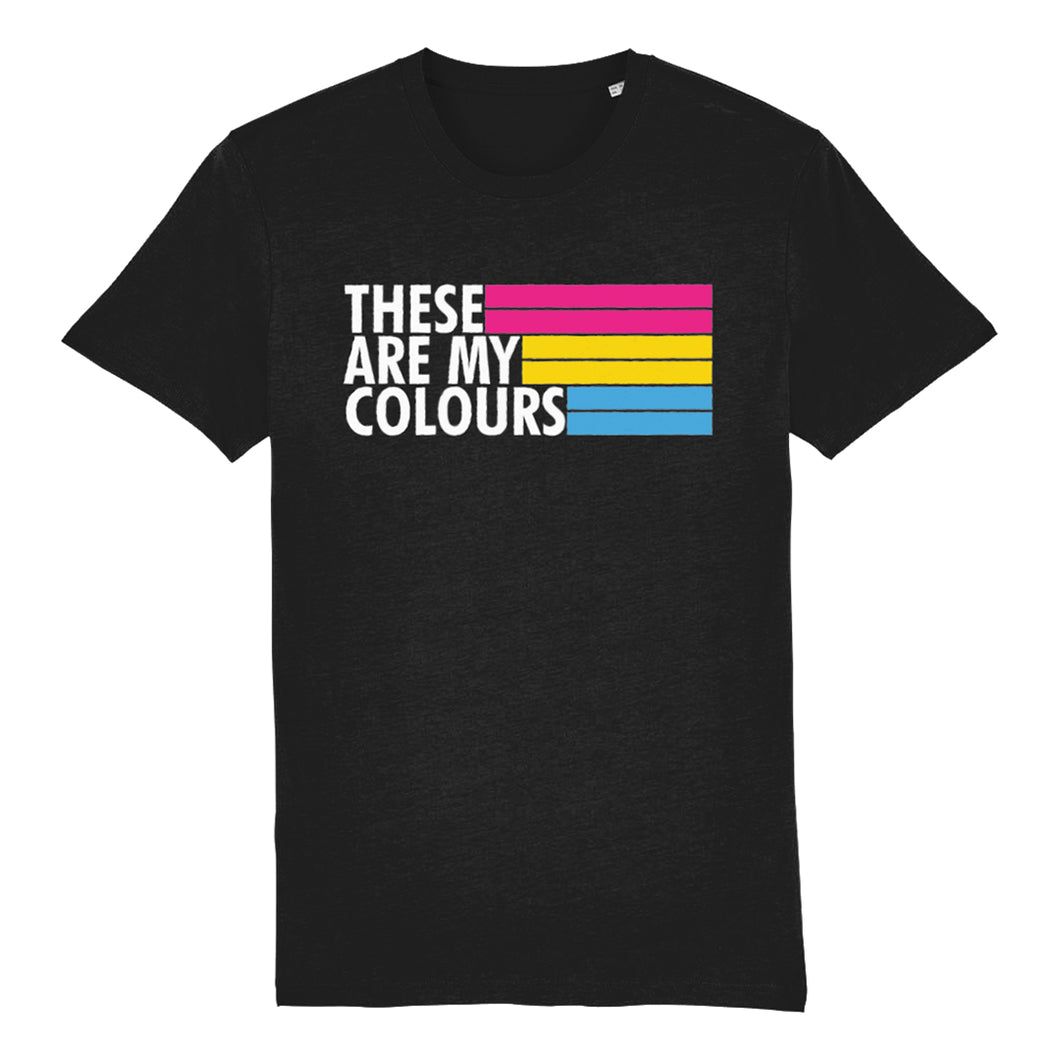 Pansexual Flag Shirt | Rainbow & Co