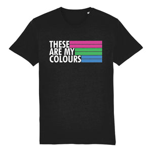 Polysexual Flag Shirt | Rainbow & Co