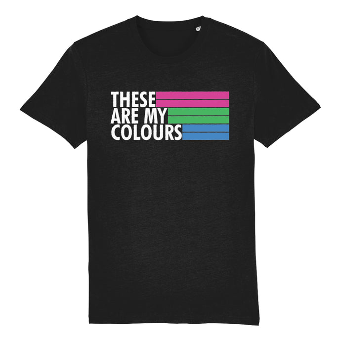 Polysexual Flag Shirt | Rainbow & Co