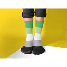 Load image into Gallery viewer, Aromantic Pride Flag Tube Socks | Rainbow &amp; Co
