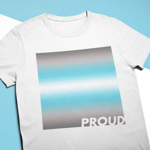 Proud Demiboy T Shirt | Rainbow & Co