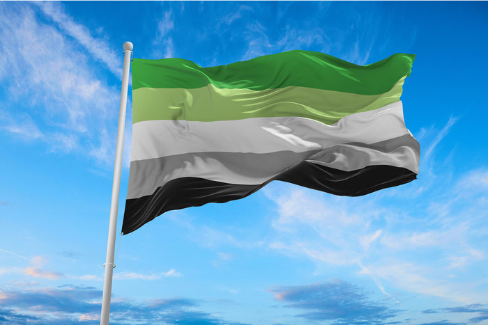 Finding Your Door: An Aromantic Spectrum Awareness Week Reflection