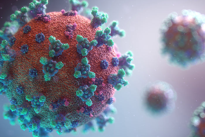 Corona Virus | Queer Response | Rainbow & Co