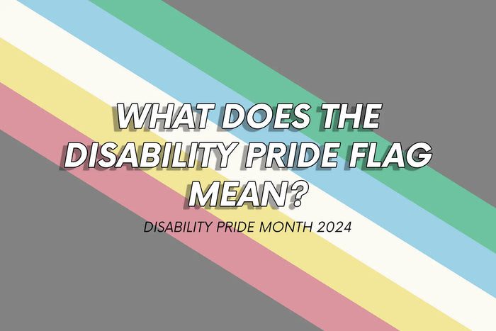 Disability Pride Flag in the background, foreground text reads 'What Does The Disability Pride Flag Mean? Disability Pride Month 2024'