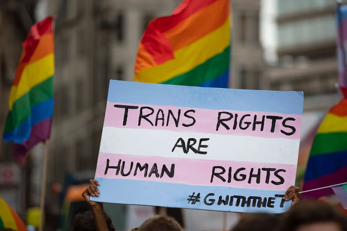 A close-up of a protest sign with the trans pride flag design reading 