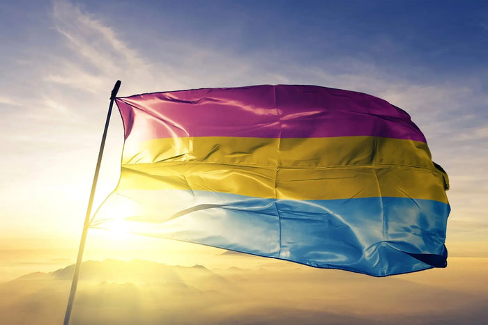 Pansexual pride flag waving against a golden sunrise, with pink, yellow and blue stripes standing out vividly in the morning light.