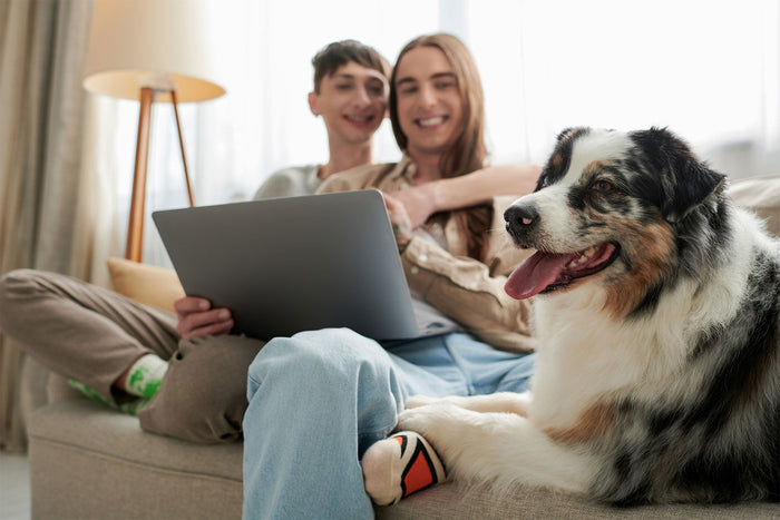 A happy queer couple sitting on a sofa with a large fluffy dog. One person holds a laptop, while the dog, an Australian Shepherd, rests on the sofa looking content.