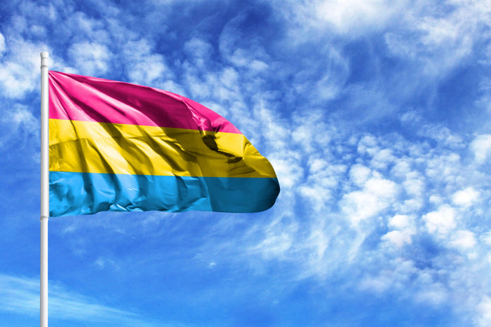 Pansexual and Panromantic Awareness and Visibility Day 2022 Rainbow & Co