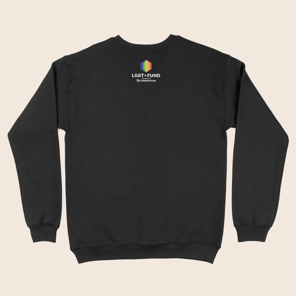 Back of a black sweatshirt featuring the LGBT+ Fund logo below the neckline, with a rainbow geometric icon and “powered by Consortium” underneath.