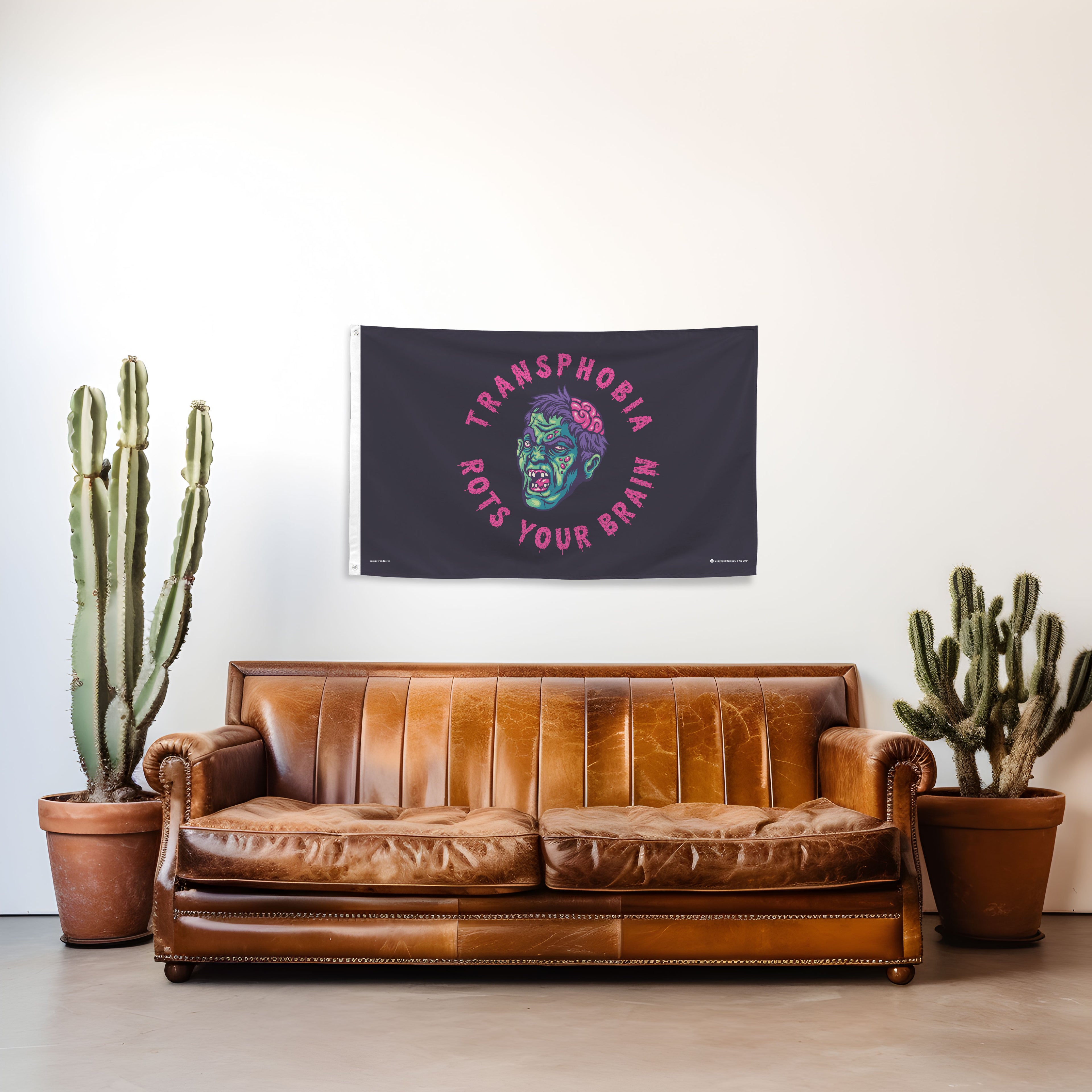 Brown leather sofa with a 'Transphobia Rots Your Brain' flag hanging on the wall.
