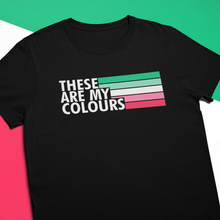 Load image into Gallery viewer, Abrosexual Pride Flag Shirt | Rainbow &amp; Co