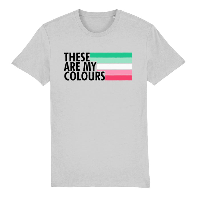 Abrosexual Flag Shirt | Rainbow & Co