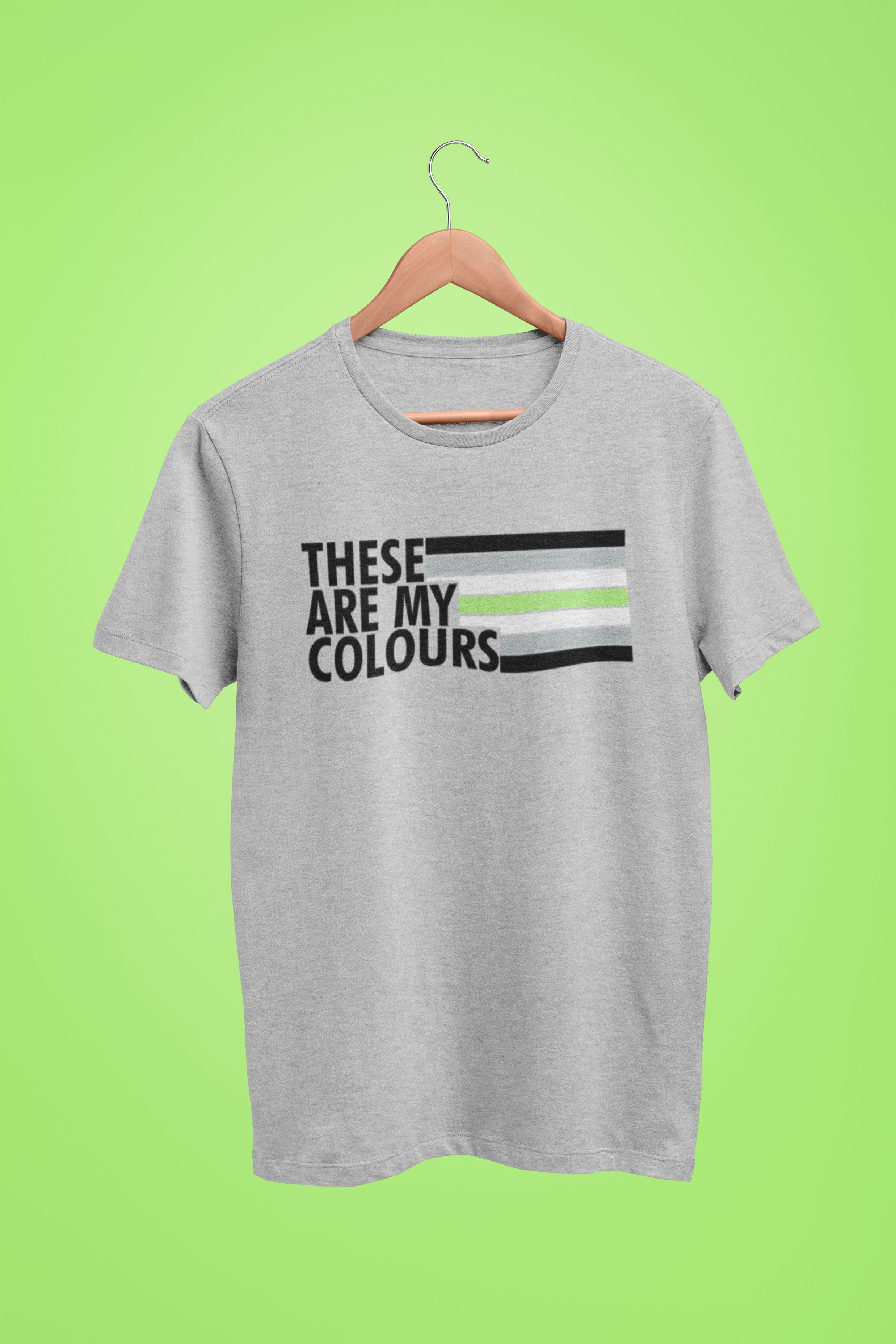Agender Pride Flag Shirt | Rainbow & Co