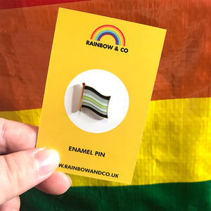 Agender Pride Flag Pin | Rainbow & Co