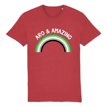 Load image into Gallery viewer, Aro &amp; Amazing T Shirt | Rainbow &amp; Co