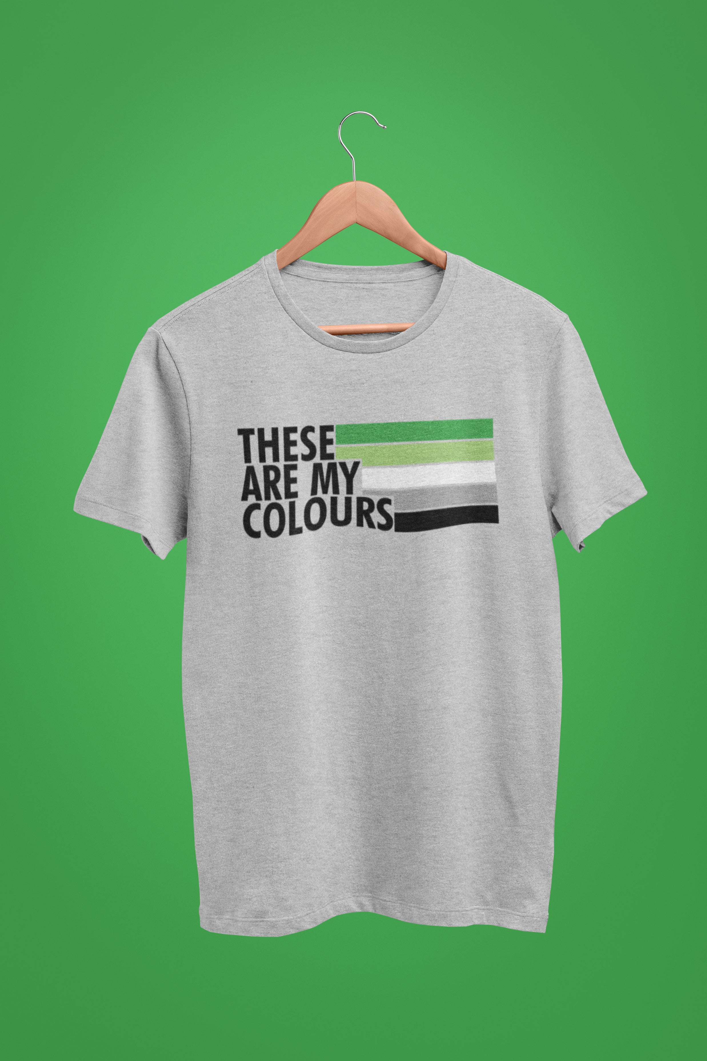 Aromantic Pride Flag Shirt | Rainbow & Co