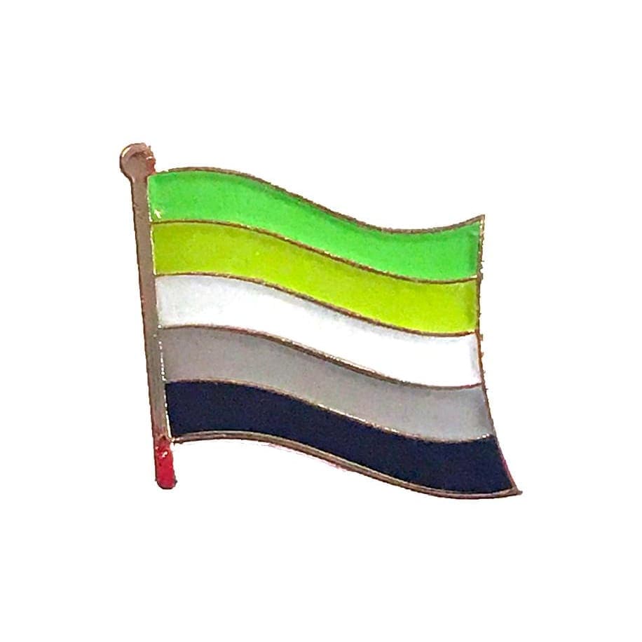 Aromantic Pin | Rainbow & Co