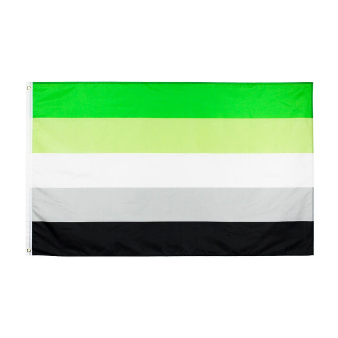 Aromantic Pride Flag | Rainbow & Co