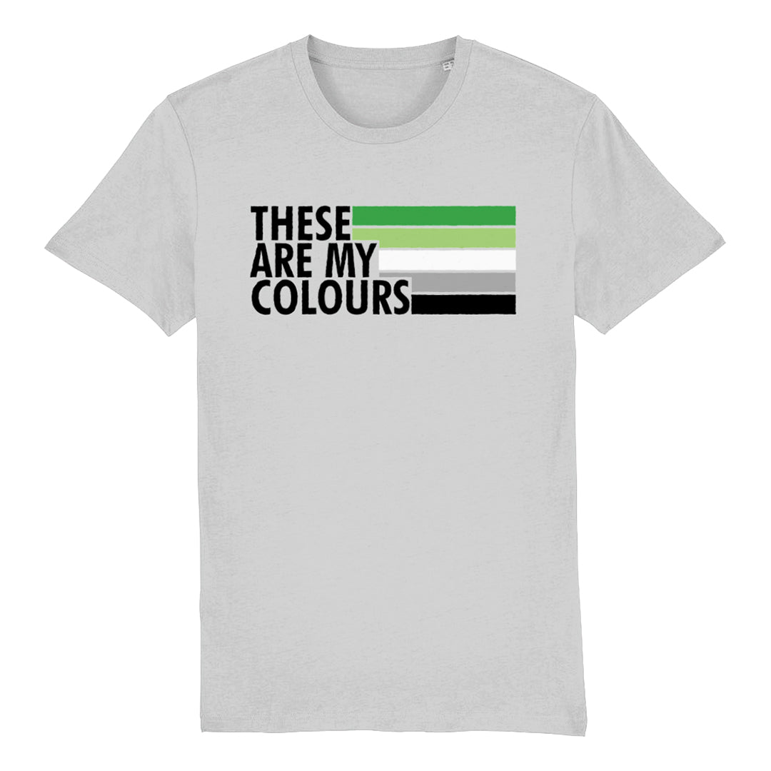 Aromantic Flag T Shirt | Rainbow & Co