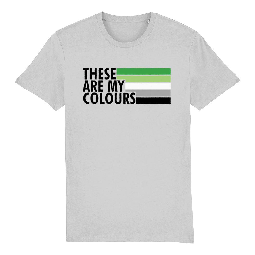 Aromantic Flag T Shirt | Rainbow & Co