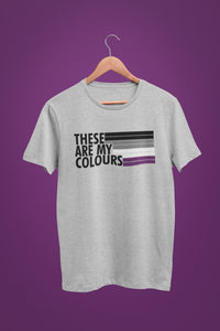 Asexual Pride Flag T Shirt | Rainbow & Co