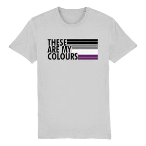Asexual Flag Shirt | Rainbow & Co