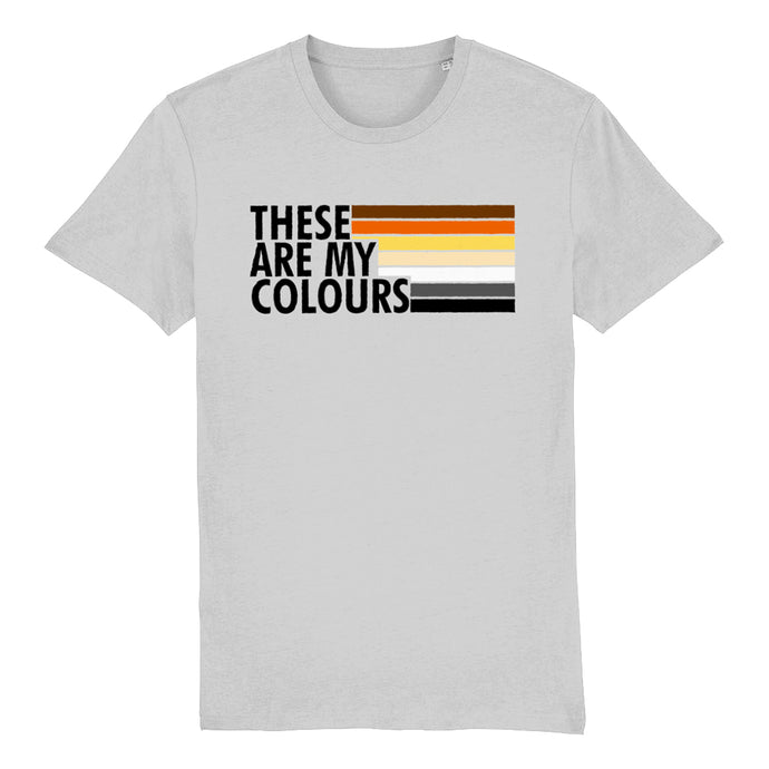 Gay Bear Pride Shirt | Rainbow & Co