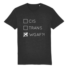 Load image into Gallery viewer, Transgender Pride T Shirt | Rainbow &amp; Co