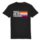 Lesbian Flag Shirt | Rainbow & Co