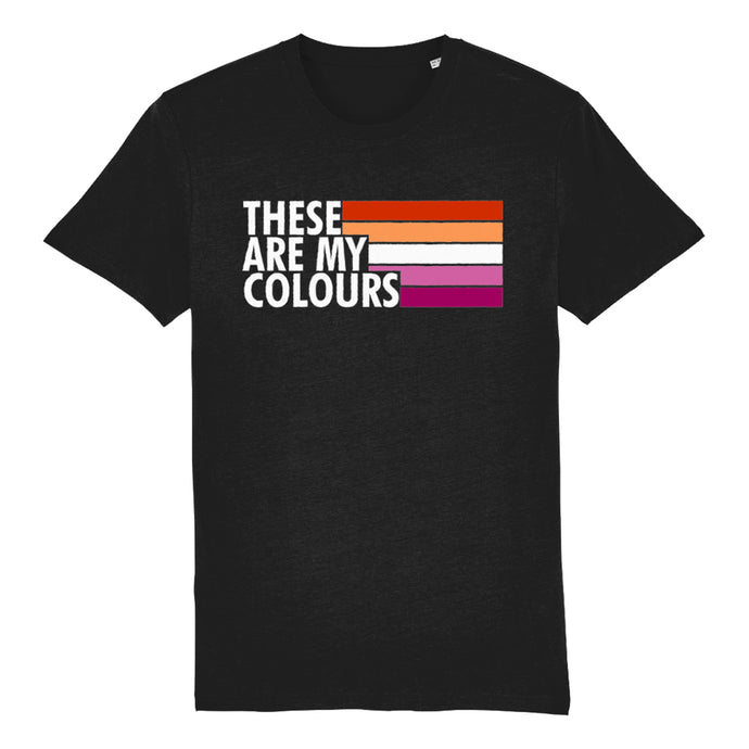 Lesbian Flag Shirt | Rainbow & Co