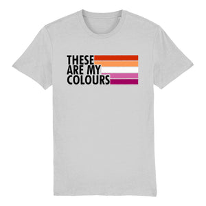 Lesbian Community Flag T Shirt | Rainbow & Co