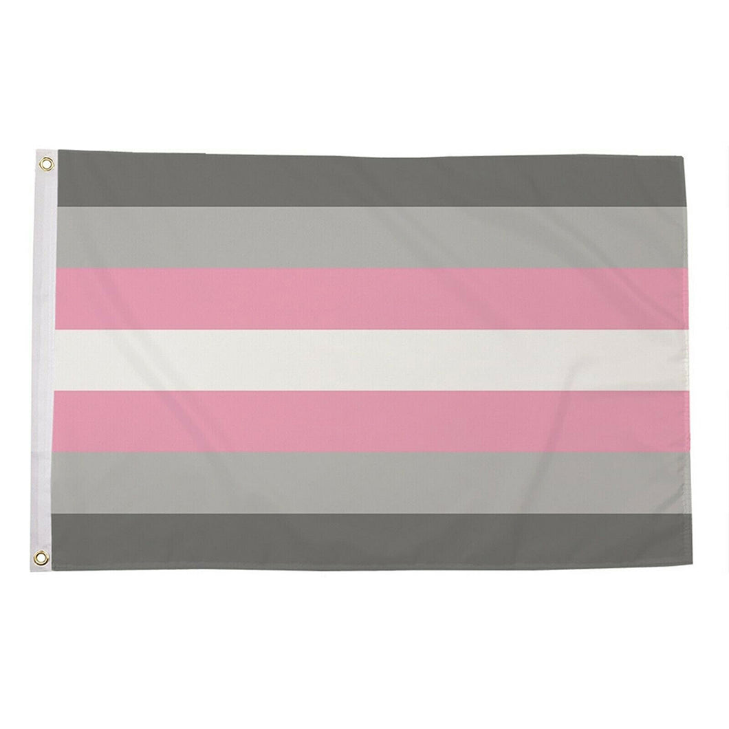 Demigirl Pride Flag | Rainbow & Co