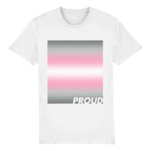 Load image into Gallery viewer, Demigirl Pride T Shirt | Demigirl Flag Shirt | Rainbow &amp; Co