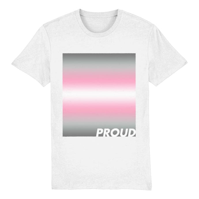 Demigirl Pride T Shirt | Demigirl Flag Shirt | Rainbow & Co