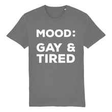 Load image into Gallery viewer, Gay &amp; Tired T Shirt | Rainbow &amp; Co