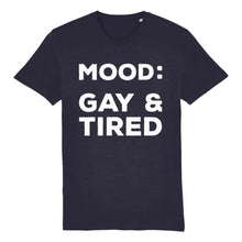 Load image into Gallery viewer, Gay &amp; Tired T Shirt | Rainbow &amp; Co