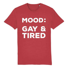 Load image into Gallery viewer, Gay Pride T Shirt | Gay &amp; Tired
