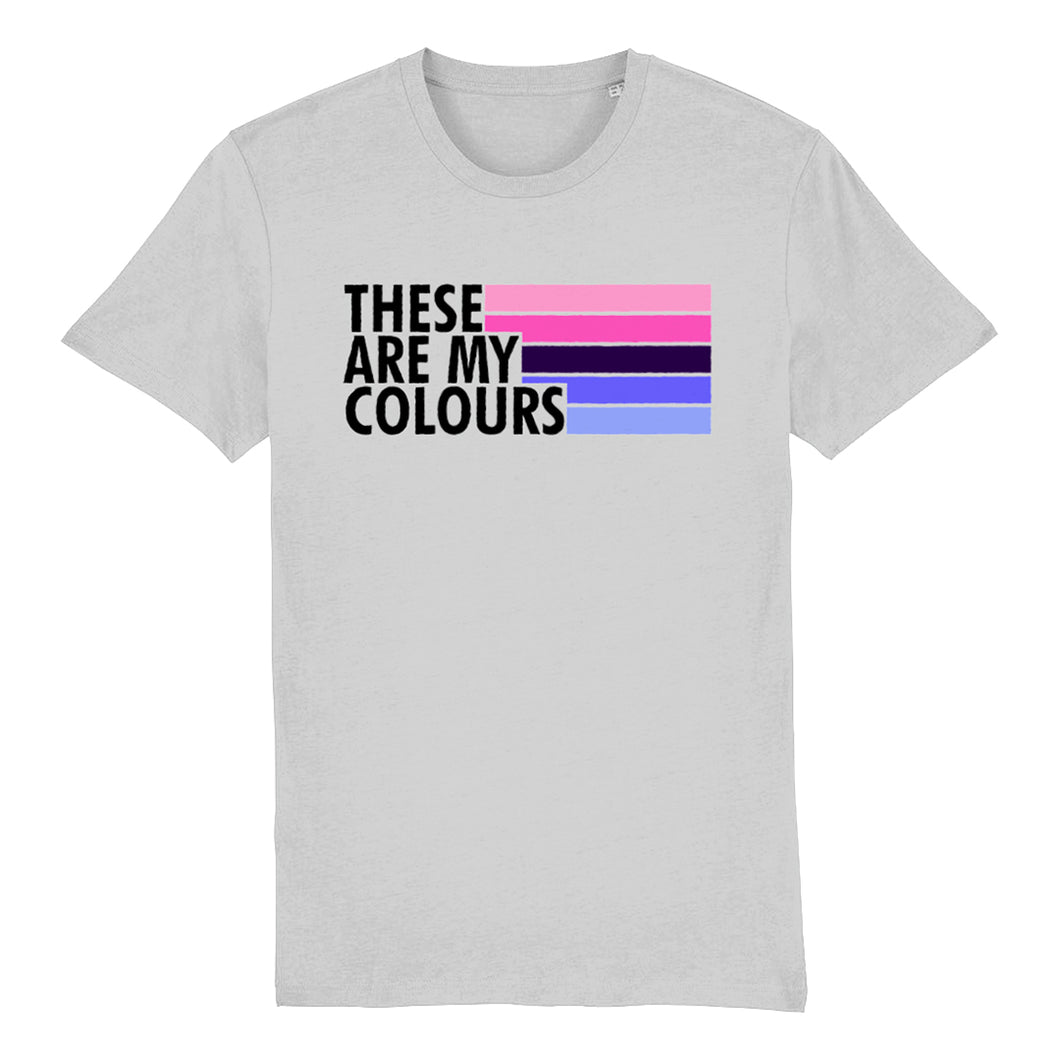 Omnisexual Flag Shirt | Rainbow & CO