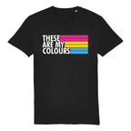 Pansexual Flag Shirt | Rainbow & Co