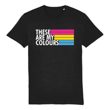 Load image into Gallery viewer, Pansexual Flag Shirt | Rainbow &amp; Co