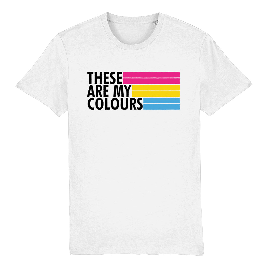 Pansexual Flag T Shirt | Rainbow & Co