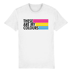 Pansexual Flag T Shirt | Rainbow & Co