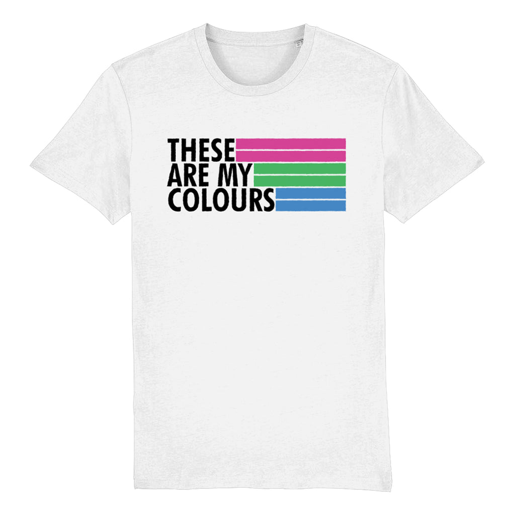 Polysexual Flag T Shirt | Rainbow & Co