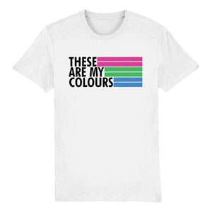 Polysexual Flag T Shirt | Rainbow & Co