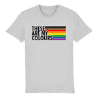 Philly Pride Flag Shirt | Rainbow & Co