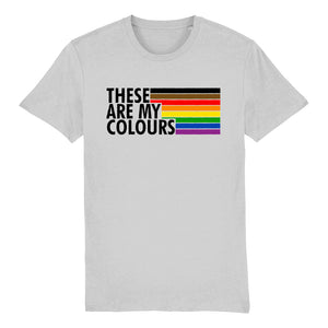 Philly Pride Flag Shirt | Rainbow & Co